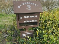 -启东黄金海滩景区