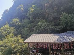 -神农山景区