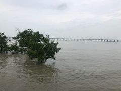 -宝安西湾红树林湿地公园