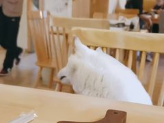 -柴の食堂·日式家庭料理·熊之肆(大学路店)