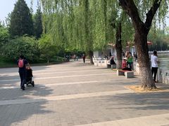 -丰台花园