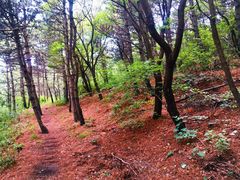 -阳台山自然风景区