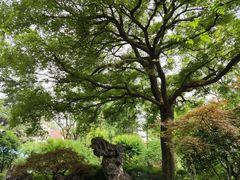 -申粤轩酒楼·三十年粤菜经典(丁香花园店)