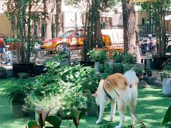 -BOCATA 西班牙餐厅(三里屯店)