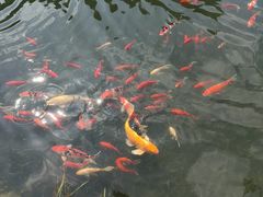 -上海皇廷花园酒店·御宴中餐厅