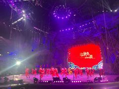 -广州长隆国际大马戏