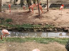 -无锡动物园·太湖欢乐园
