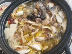 -蘑统田下·野生菌火锅