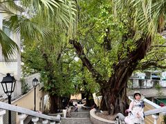 -龙环葡韵住宅式博物馆