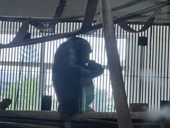 -太原动物园