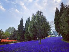 -石家庄市植物园
