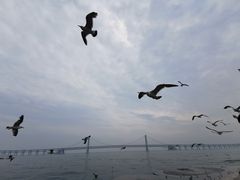 -星海广场