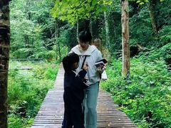 -五营红松林海景区