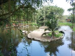 -新加坡飞禽公园