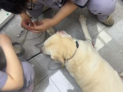 -贝康宠物医院·犬猫全科·小动物特色诊疗中心(东环路店)