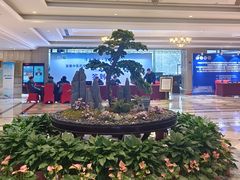 -安徽饭店·白鹭阁自助餐厅(梅山路店)