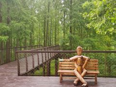 -黄海国家森林公园