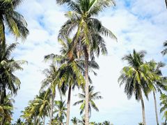 -Let's Relax Spa(Phuket 3rd Street)