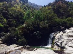 -海南霸王岭国家森林公园