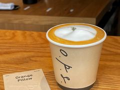 orange&nbsp;pillow-O.P.S. CAFE