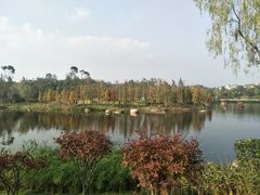 -两江国际影视城