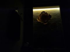 -Dragonfly 悠庭·按摩Spa(苏州中心广场店)