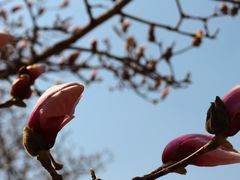 -重庆中央公园(渝北区)