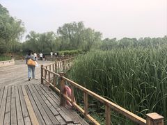 -燕郊植物园