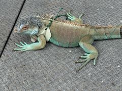 -南丫岛