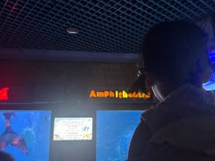 -太平洋海底世界