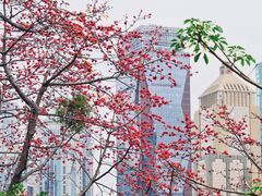 -广州中山纪念堂