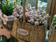 -双季花艺园艺市场(浦东店)