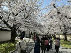 -醍醐寺