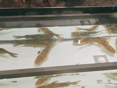 -海吃海喝海鲜烤肉炭火主题自助餐(朝阳店)