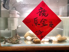 -时光花园(白鹭洲店)