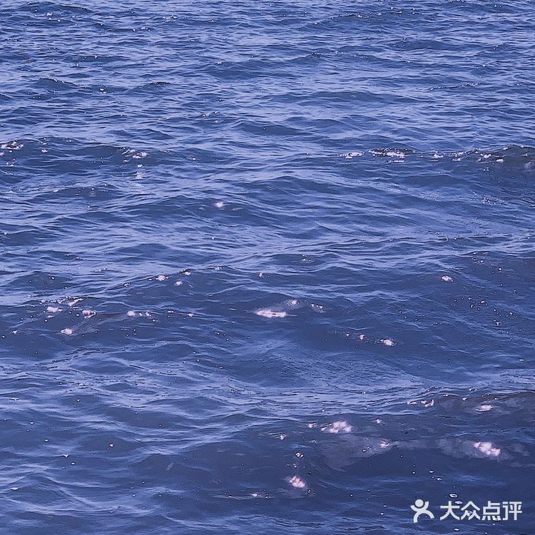 💜复古浪漫紫色调VSCO就能调☔️超美(附原图)