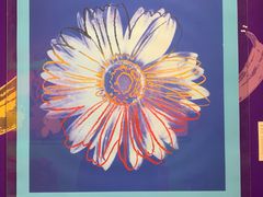 -杭州当代美术馆