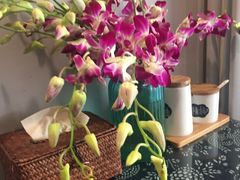 -蜗牛小馆醉乡民谣云南菜(惠新西里店)