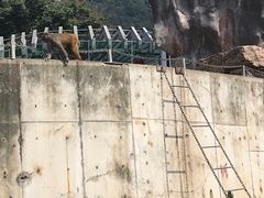 -无锡动物园·太湖欢乐园