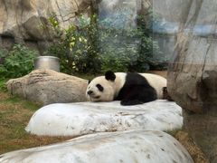 -香港海洋公园