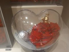 -ROSEONLY诺誓(磐基中心店)