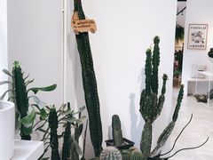 -收获咖啡HARVEST RESERVE(苍山店)