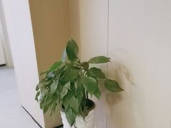 -合和大唐足道·泰式·SPA (凤城五路店)