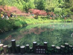 -极客修手机维修·电脑维修·家电维修清洗(五一广场店)