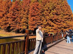 -溱湖国家湿地公园