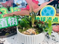 -宁波宝信宝马4S店(江北日湖店)