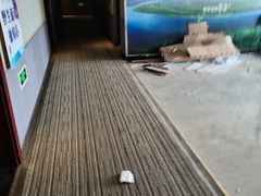 -如家旗下-成都蜀汉东路一品天下地铁站睿柏·云酒店