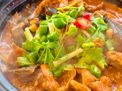 -正佳雨林生态植物园