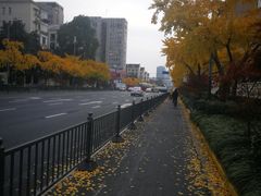 -红城阁·上海味道(四平路店)