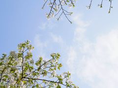 -重庆中央公园(渝北区)